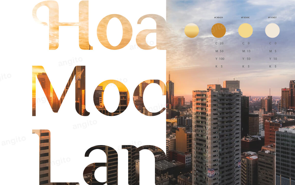 img uploads/Du_An/Hoa-moc-lan/Show Logo-03.jpg